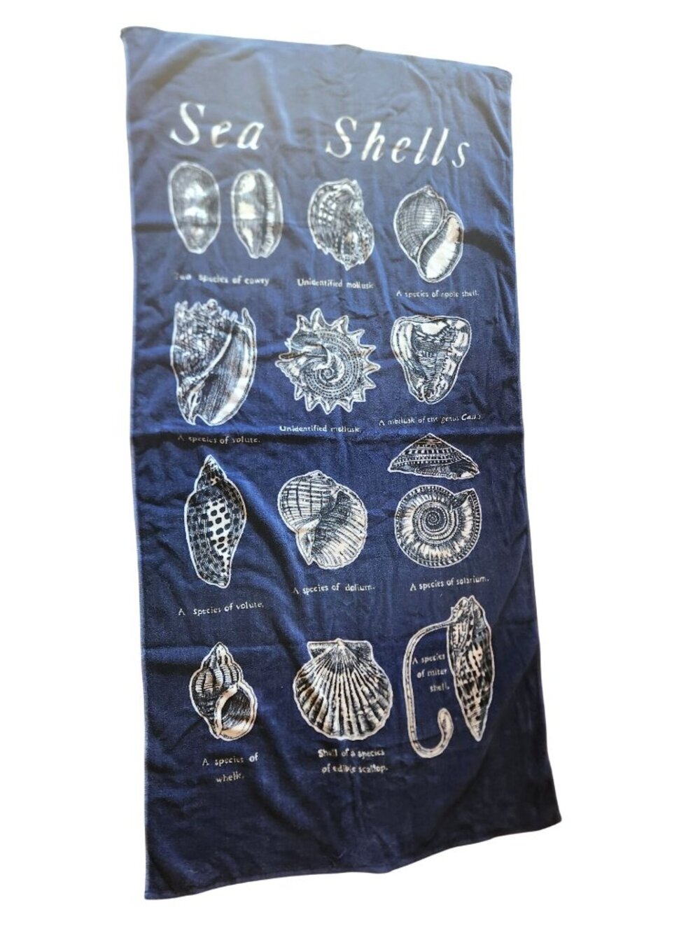 Set of Two Towels Sea Shells Cotton Beach Nautical Navy White Ocean Vacation